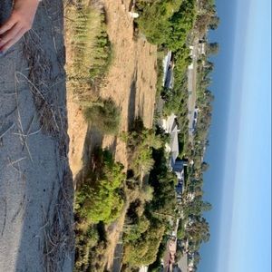 Meet your Posher, Asher rose